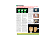 The one zir